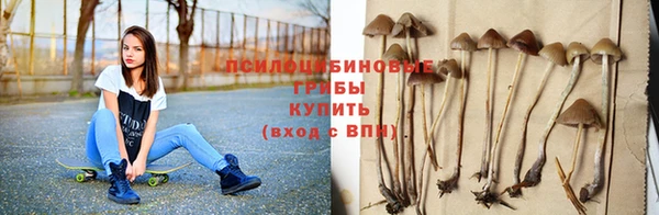 spice Алзамай
