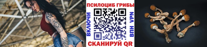Галлюциногенные грибы мухоморы Новоульяновск